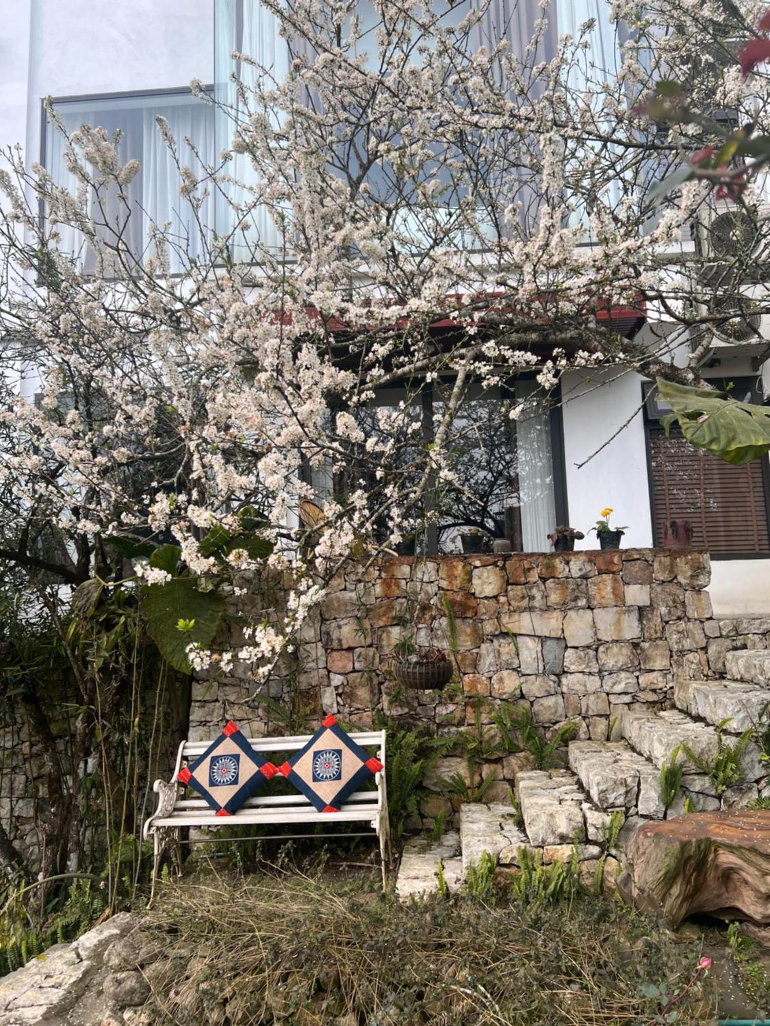 Green Villa Sapa Екстериор снимка